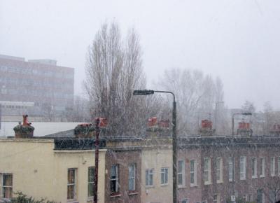 morningsnow1